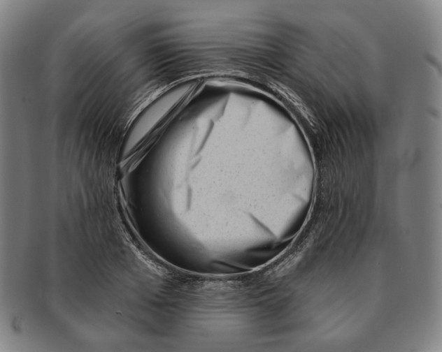 X0000090970985200708301222