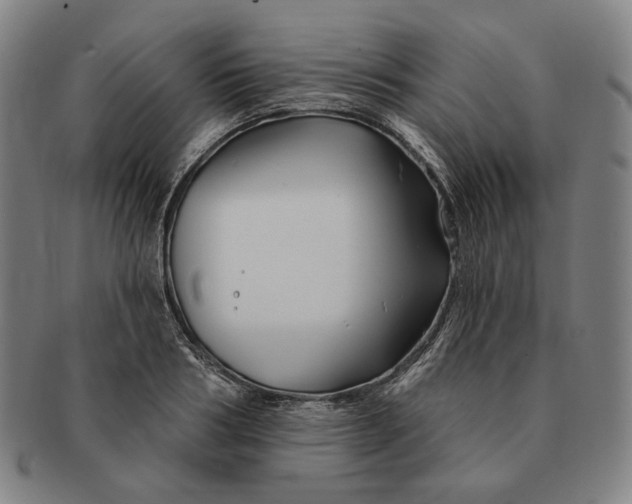 X0000090970986200708301222