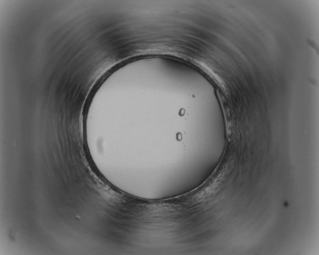 X0000090970988200708301222