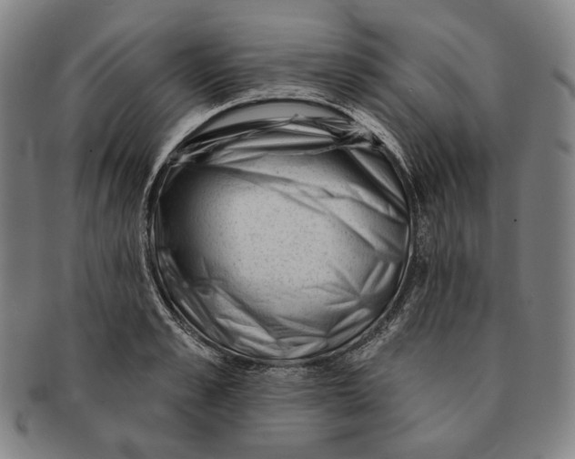 X0000090970989200708301222