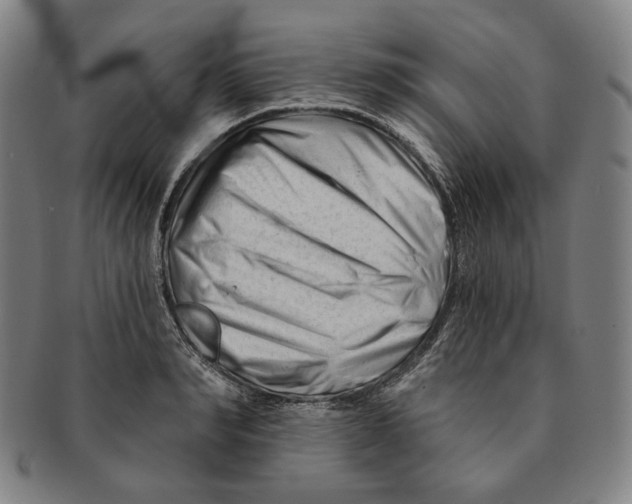 X0000090970990200708301222