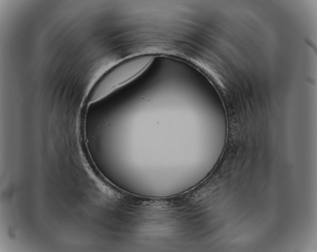 X0000090970991200708301222