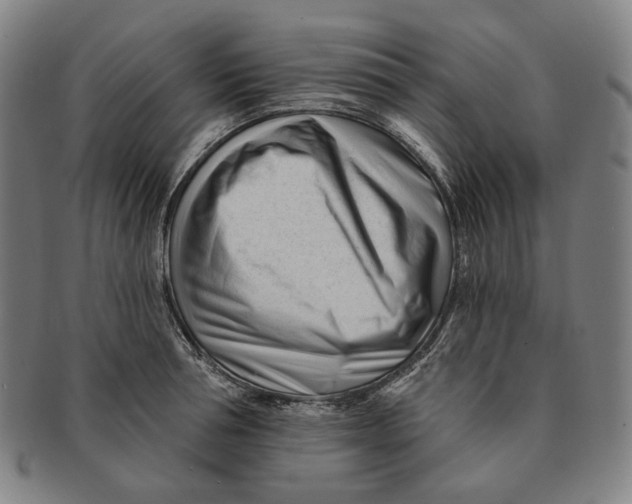 X0000090970994200708301222