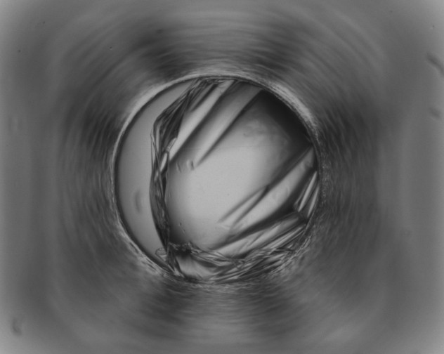 X0000090970996200708301222