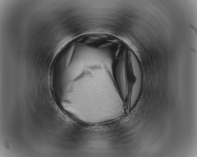 X0000090970998200708301222