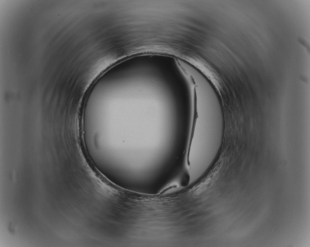 X0000090970999200708301222