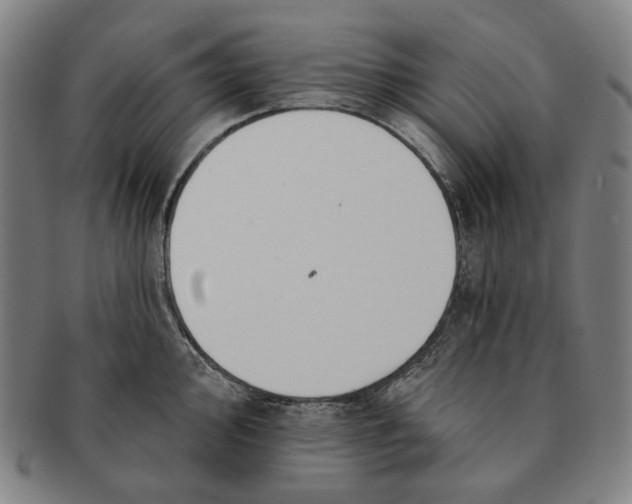 X0000090971000200708301222