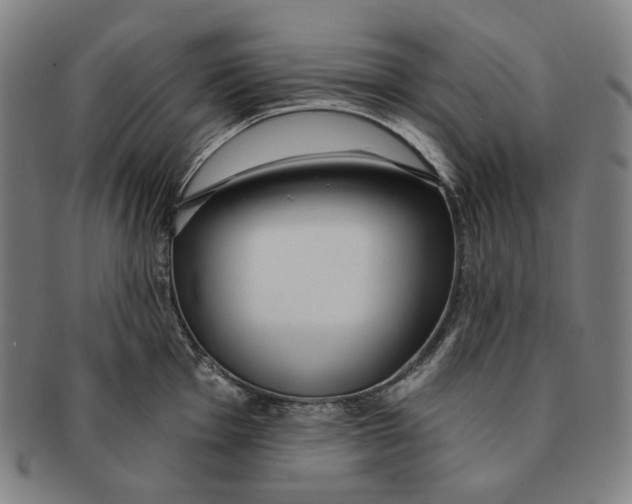 X0000090971001200708301222