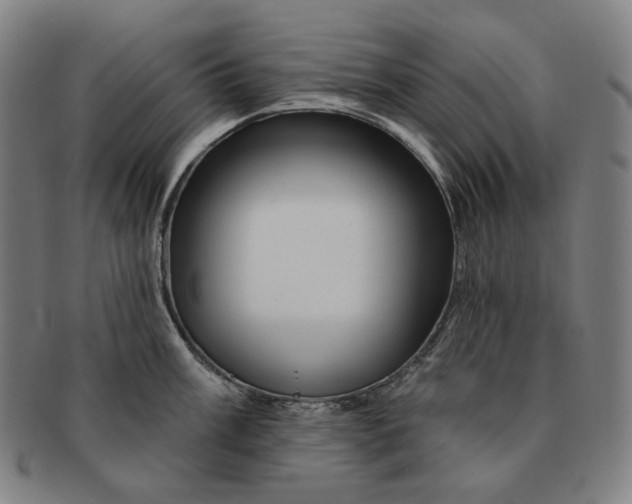 X0000090971003200708301221