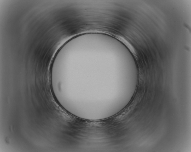 X0000090971004200708301221