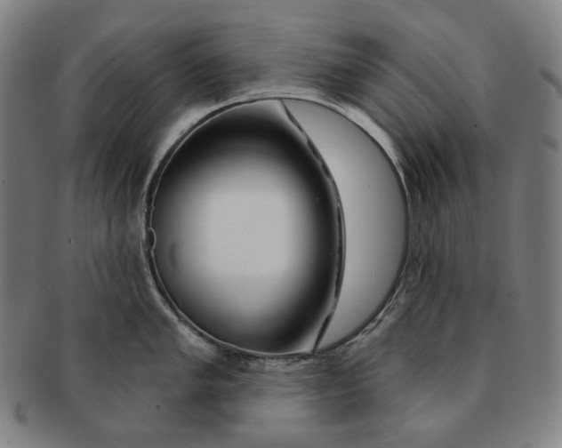 X0000090971005200708301221