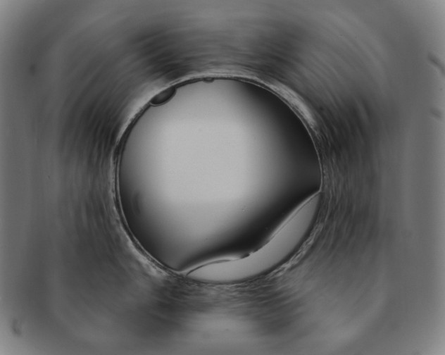 X0000090971006200708301221