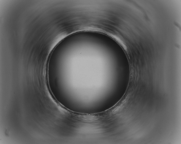 X0000090971007200708301221