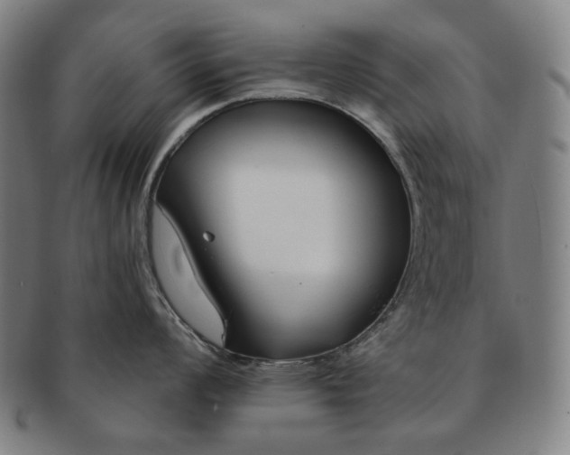 X0000090971008200708301221