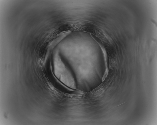 X0000090971010200708301221