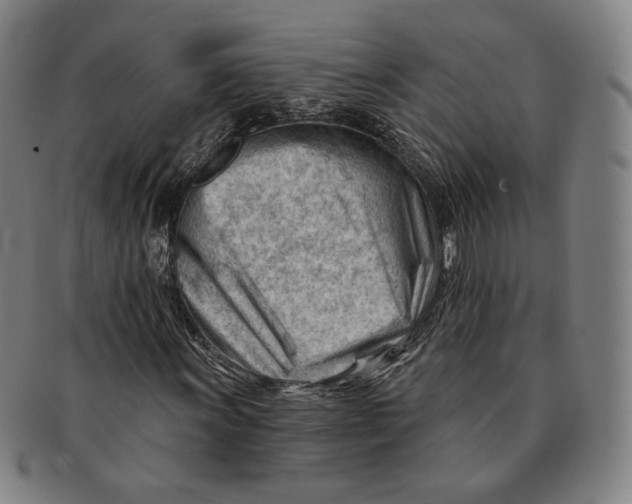 X0000090971011200708301221