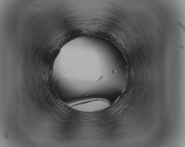 X0000090971012200708301221