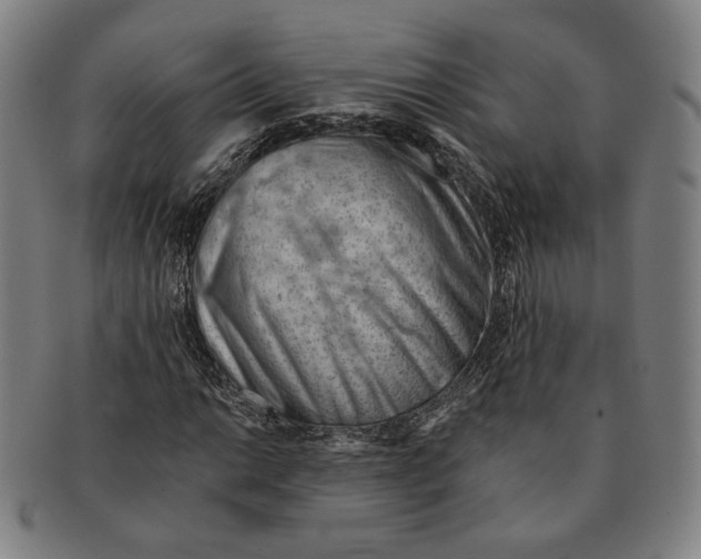 X0000090971014200708301221