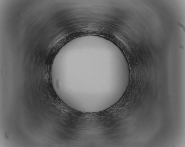 X0000090971015200708301221