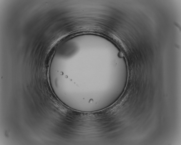 X0000090971019200708301221