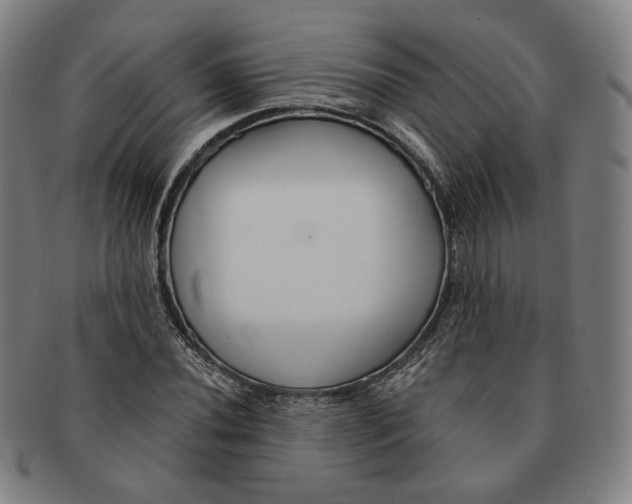 X0000090971020200708301221