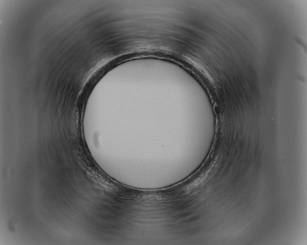 X0000090971021200708301221