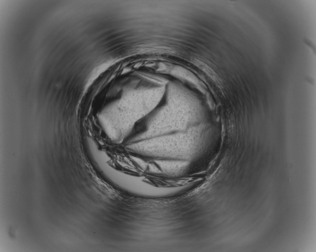 X0000090971022200708301221