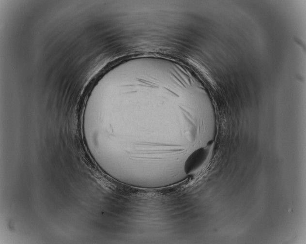 X0000090971023200708301221