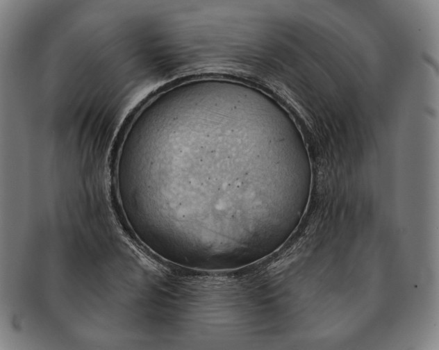 X0000090971024200708301221