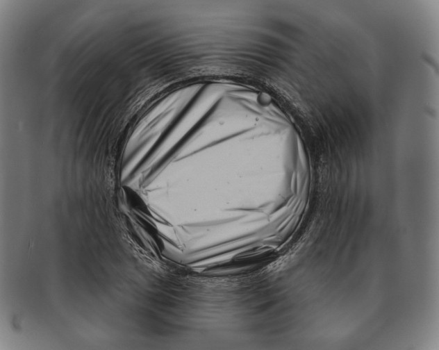 X0000090971025200708301221