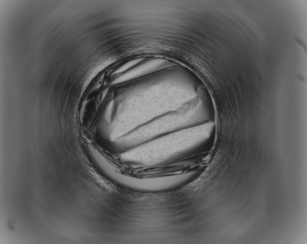 X0000090971026200708301221