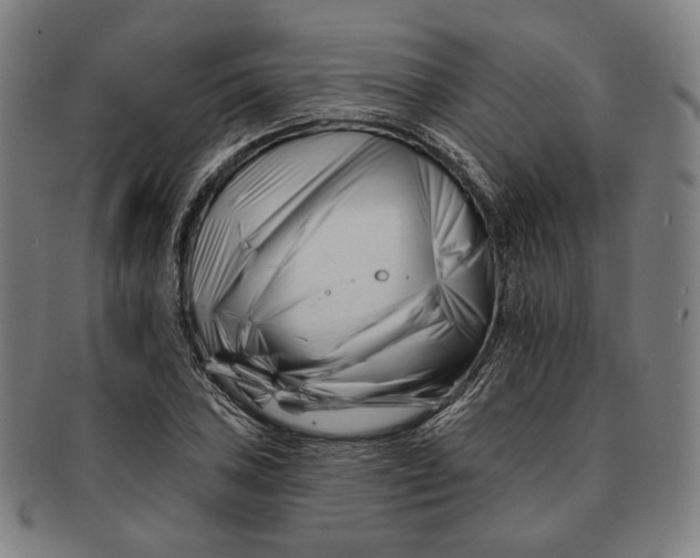 X0000090971027200708301221