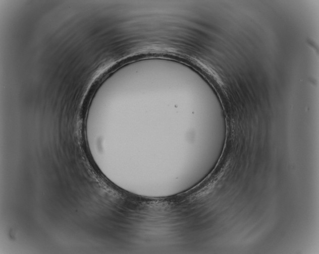 X0000090971029200708301221