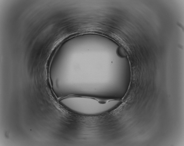 X0000090971031200708301221