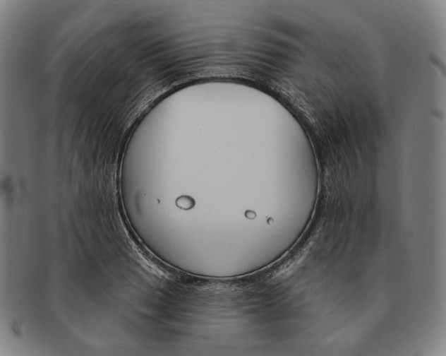 X0000090971033200708301221