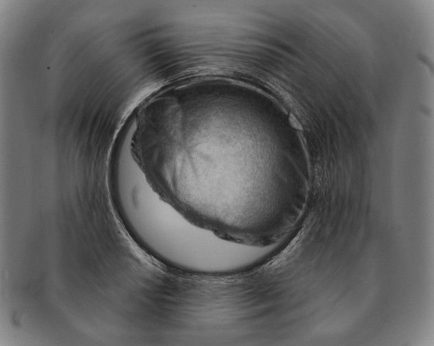 X0000090971034200708301221