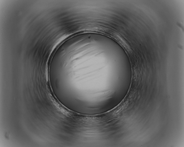 X0000090971036200708301221