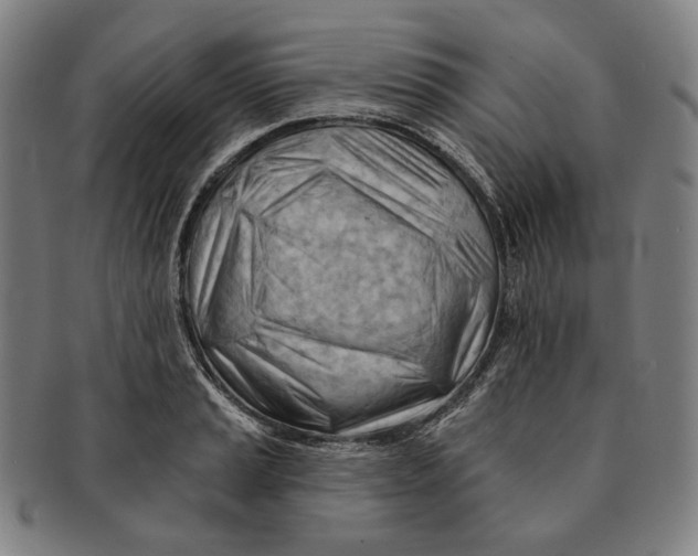 X0000090971037200708301221