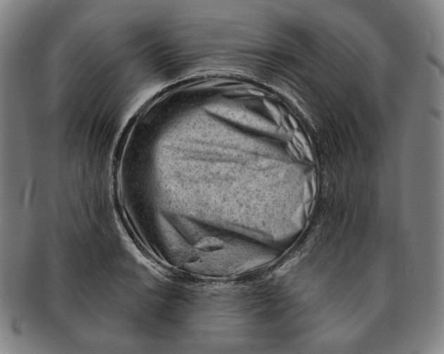 X0000090971038200708301221