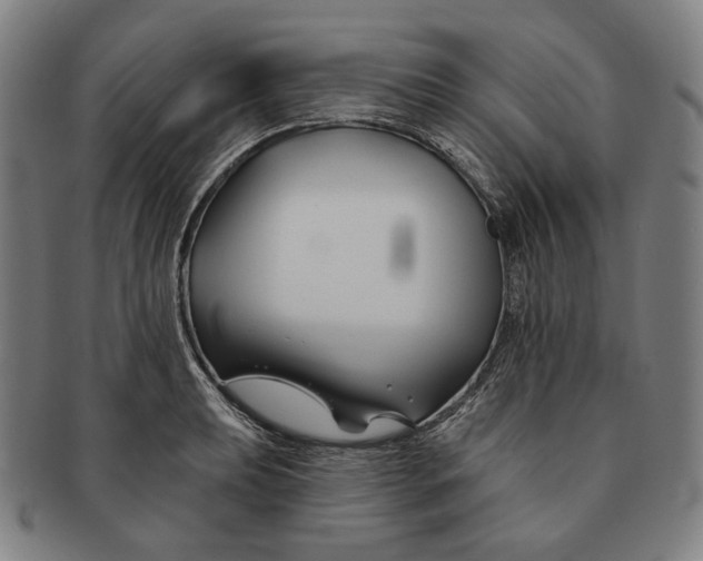 X0000090971039200708301221