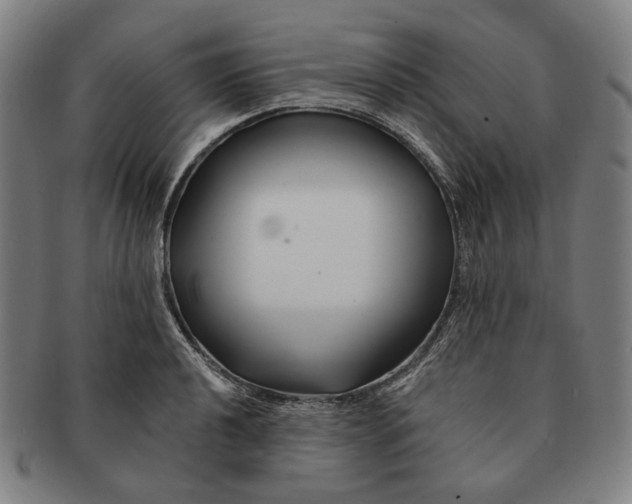 X0000090971040200708301221