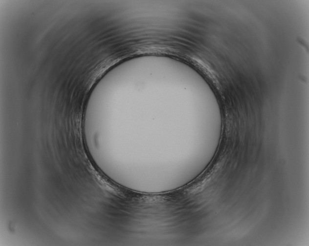 X0000090971041200708301221