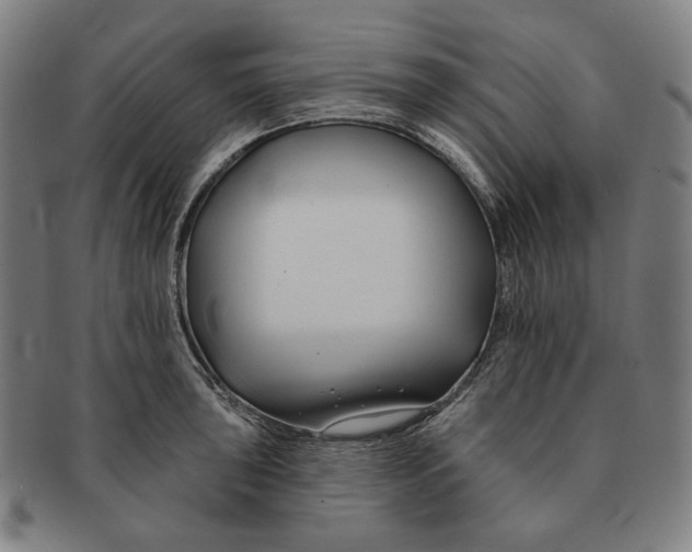 X0000090971043200708301221