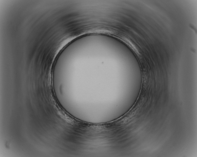 X0000090971044200708301221