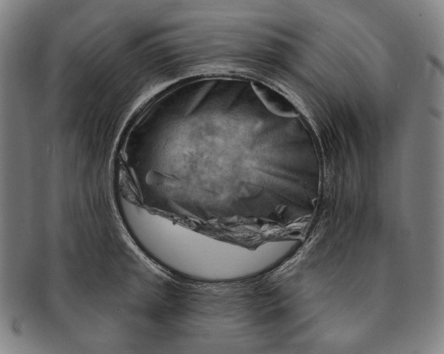 X0000090971045200708301221