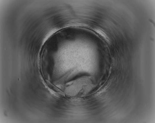 X0000090971046200708301221