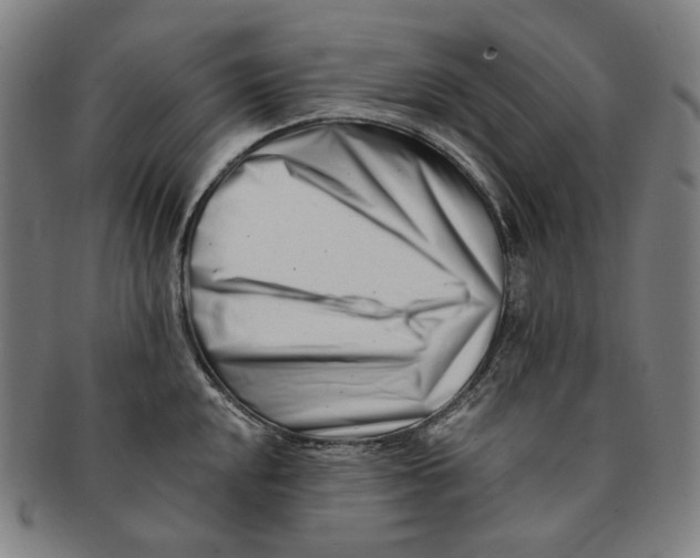 X0000090971048200708301221