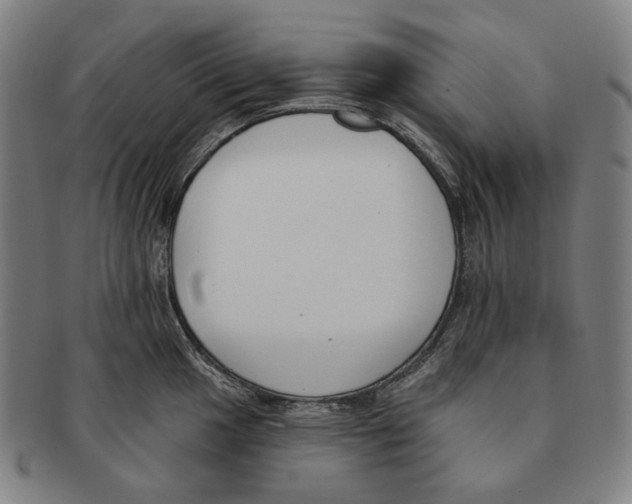 X0000090971049200708301221