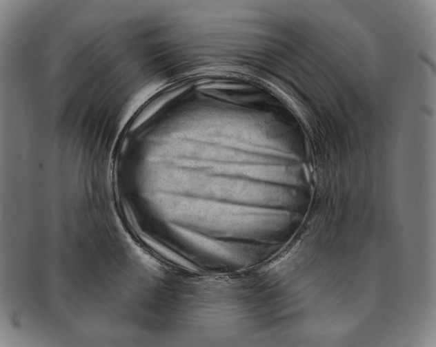 X0000090971050200708301221