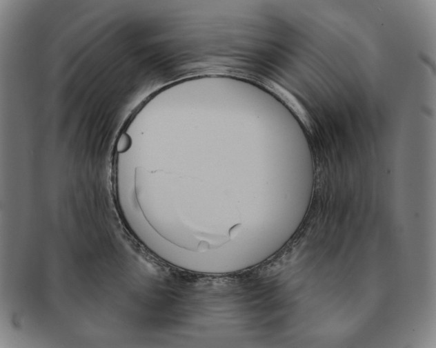 X0000090971051200708301221